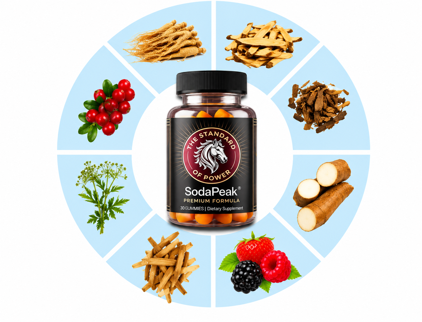 SodaPeak Key Ingredients - Premium Formula Gummies with Natural Plant Extracts